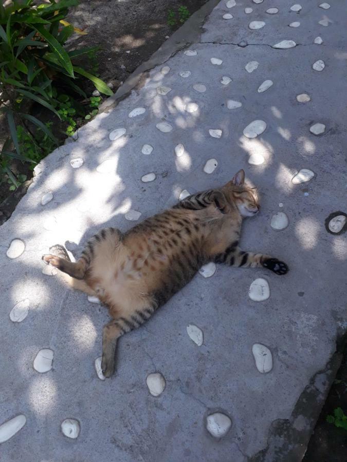Sagita Bungalow Τζίλι Τραγουανγκάν Εξωτερικό φωτογραφία